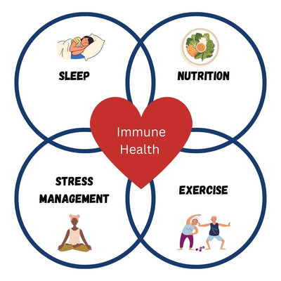 The 4 Pillars of a healthy immune system